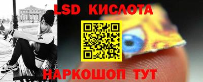 шишки Сланцы