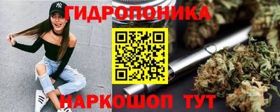 шишки Сланцы